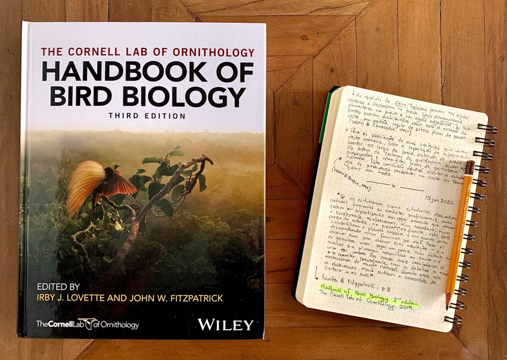 Por que estudar&nbsp;aves?