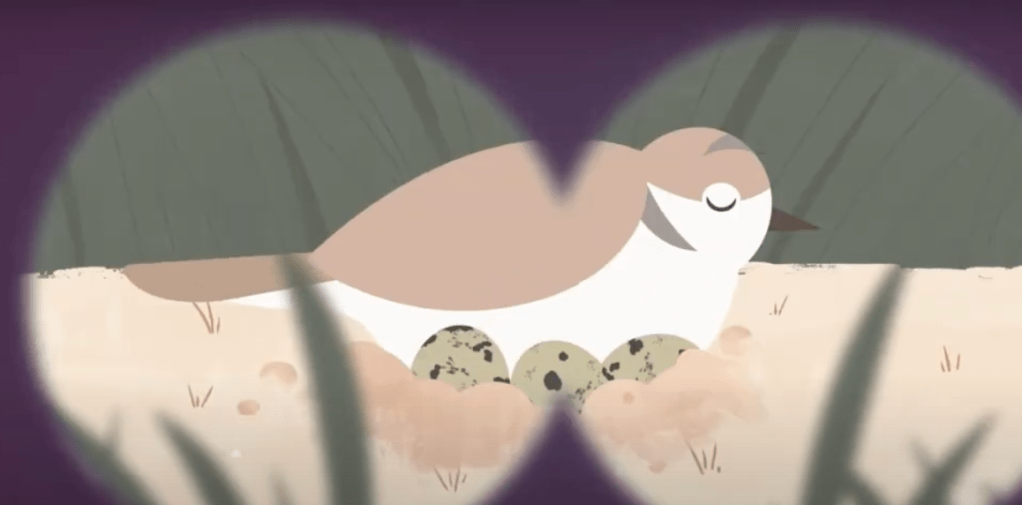 Compartilhe a praia!