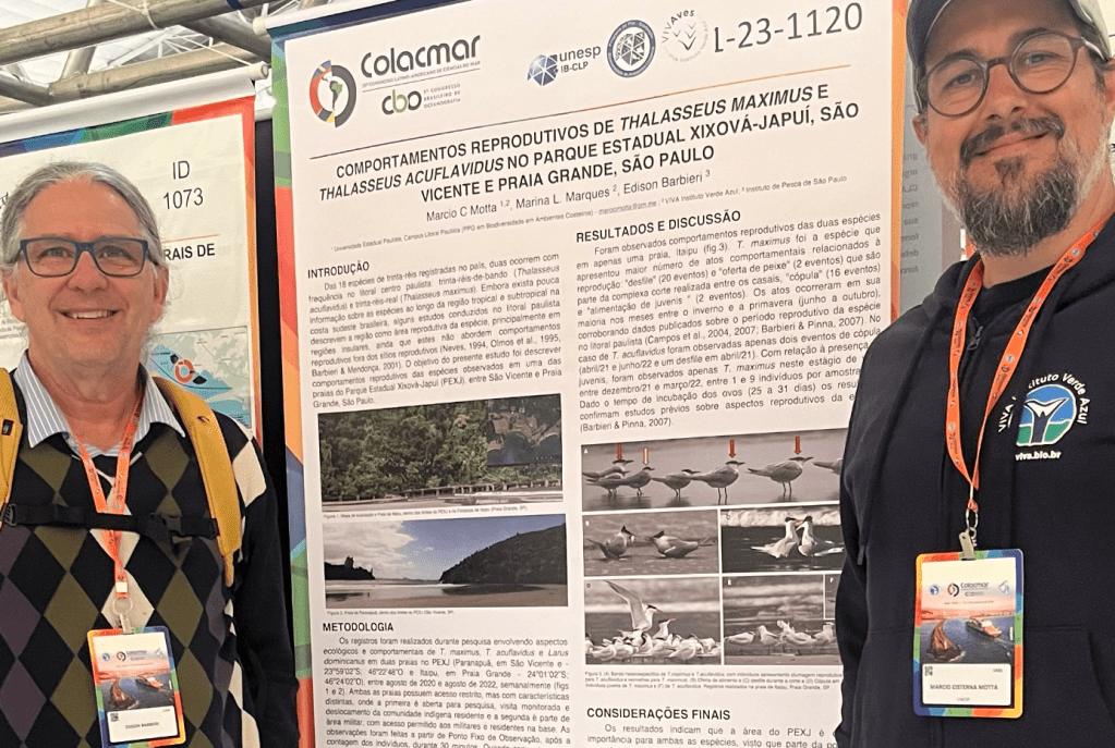 Três novas publicações do&nbsp;projeto!