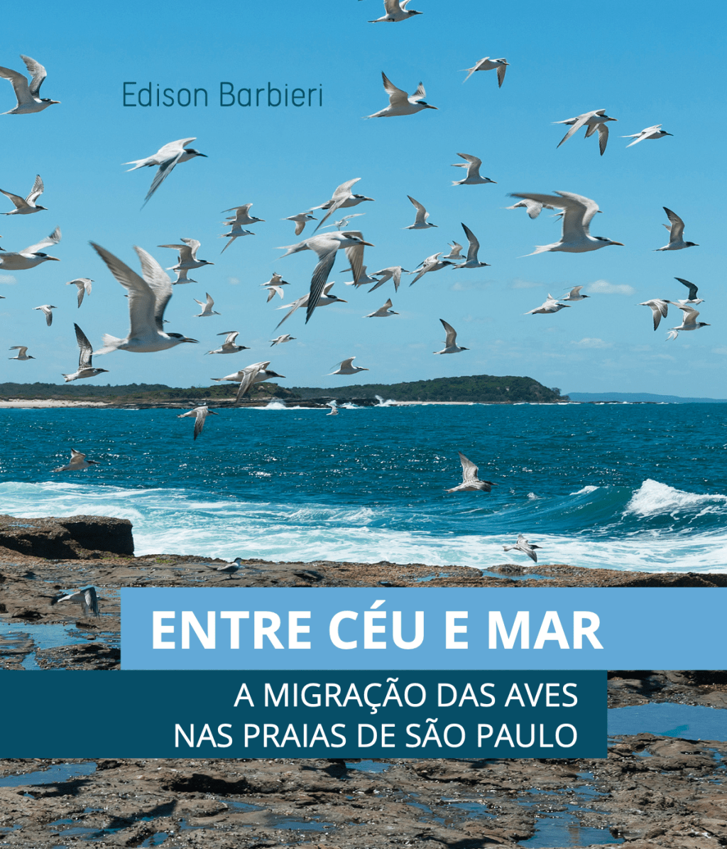 “Entre Céu e Mar: A Migração das Aves nas Praias de São Paulo” – Um Olhar Científico sobre aves na costa&nbsp;paulista