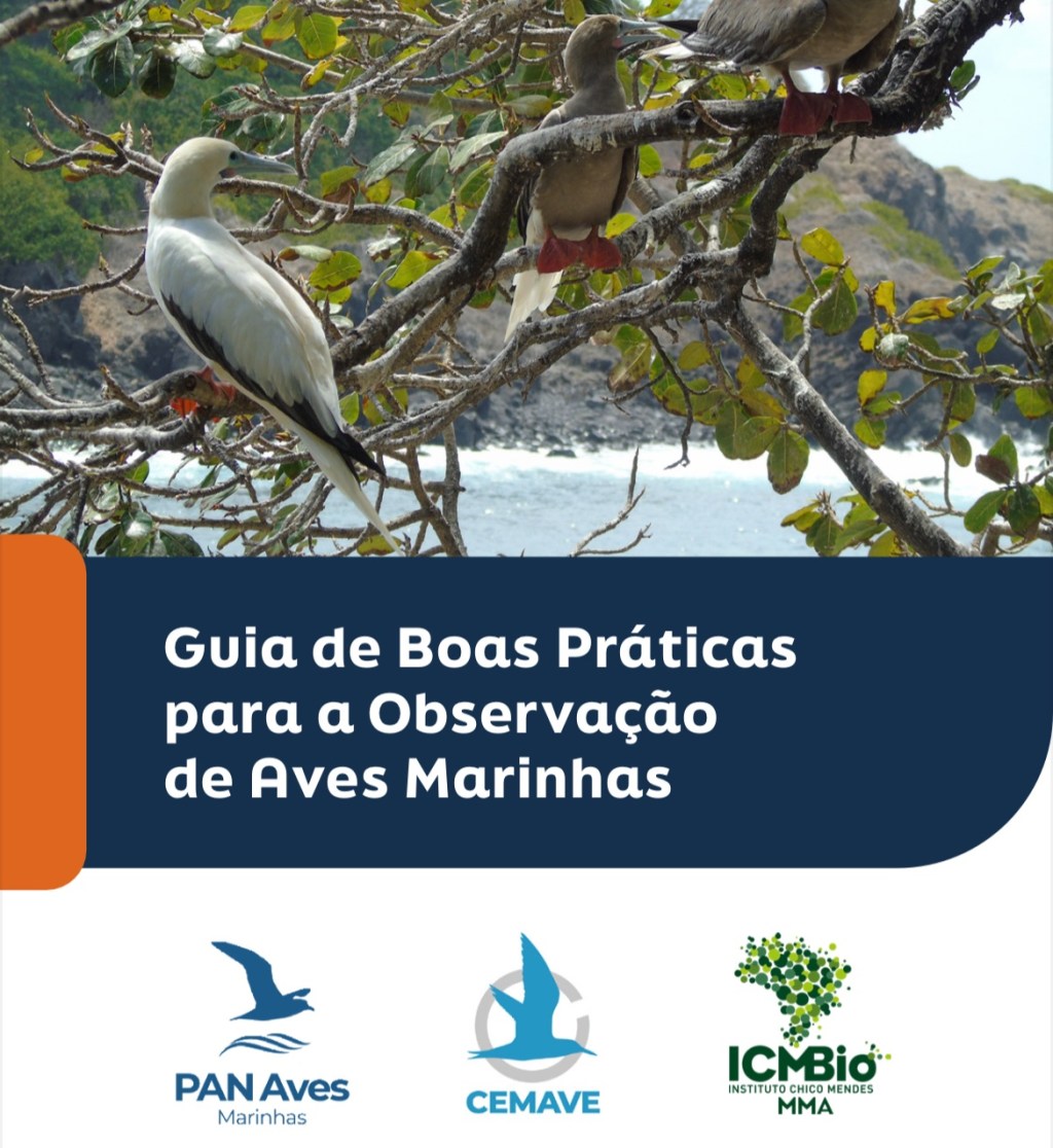 Guia de aves marinhas brasileiras é lançado pelo&nbsp;ICMBio