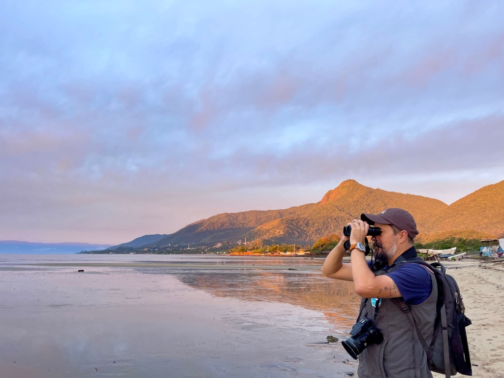 Wader Conservation World Watch – Ilhabela,&nbsp;2025