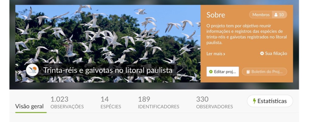 Ultrapassamos 1.000 registros no iNaturalist: um marco para a conservação dos trinta-réis e gaivotas no litoral&nbsp;paulista