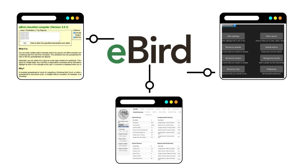 Ferramentas digitais para potencializar o&nbsp;eBird